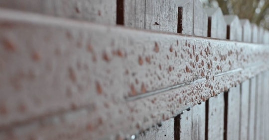 rain on fence
