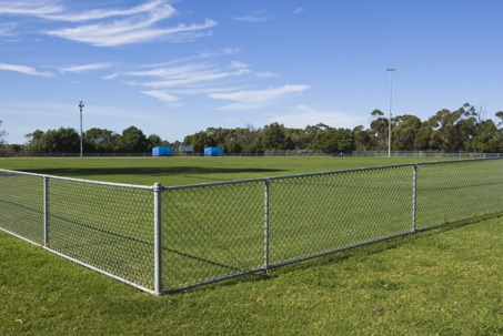 chain link fence on a grassy field